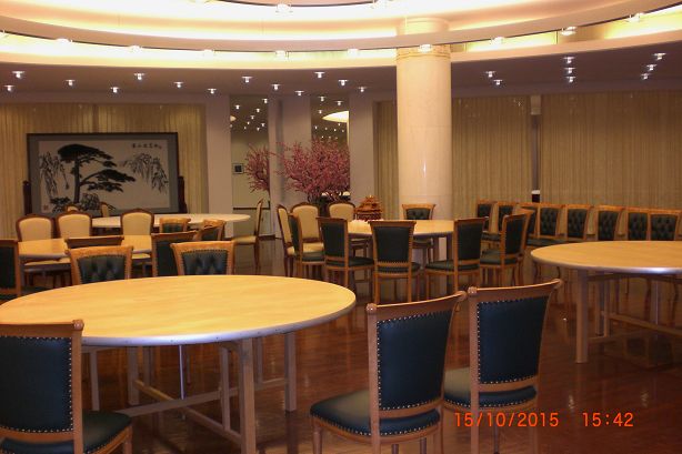 Blick in den Empfangssaal.JPG