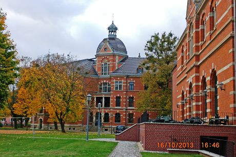 15_Kadette - Hinteransicht.JPG