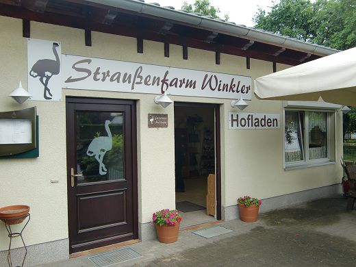 Ankunft auf der Straußenfarm.JPG