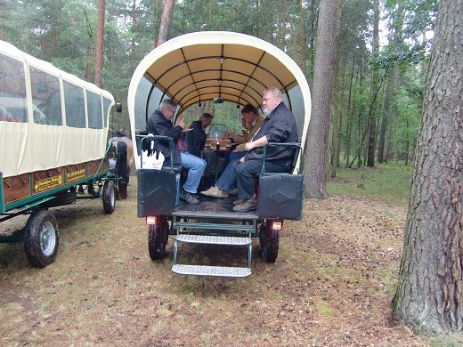 Picknick im Wald.JPG